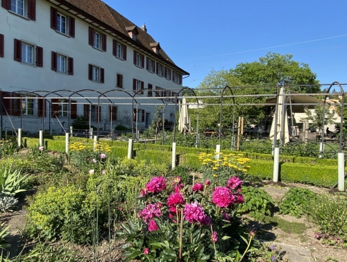 Der bunte Klostergarten