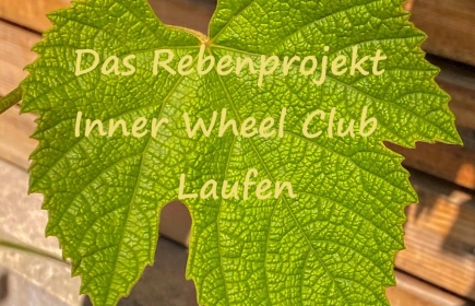 Inner Wheel Club Laufen_Rebenprojekt